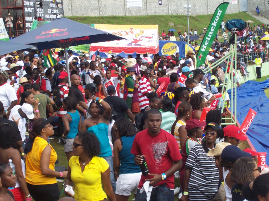 CRICKET LOVELY CRICKET